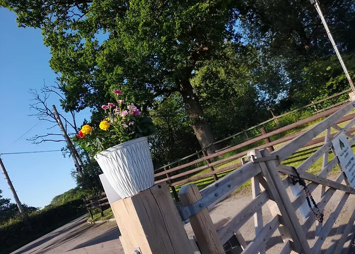 Mousley House Farm Campsite And Glamping